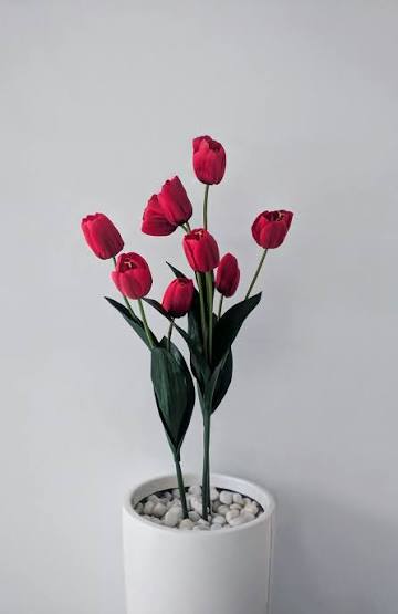 Купить Кашпо для цветов в Скоропусковском	
